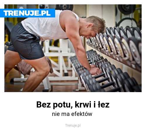 Bez potu, krwi i łez