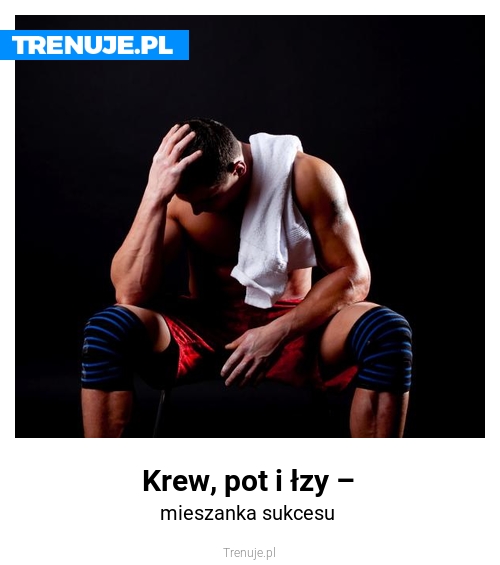 Krew, pot i łzy –