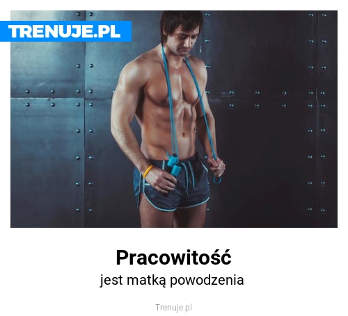 Pracowitość